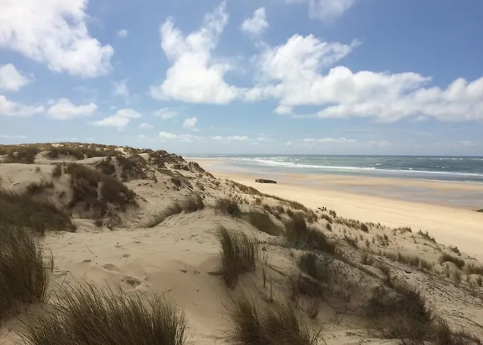 Les Cedres Apartman Pyla-sur-Mer